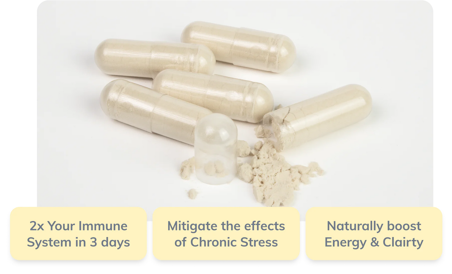 Beta Glucan 100 mg - 60 caps